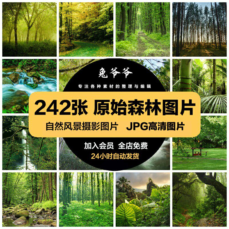 高清自然风景jpg图片原始森林公园雨林树林山林喷绘打印合成素材