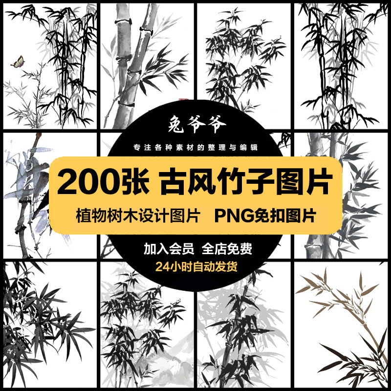 中国风水墨竹子古风竹叶竹林水彩手绘插画PNG免扣透明设计素材