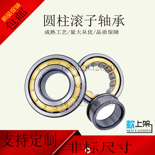 二类圆柱滚子轴承RNM