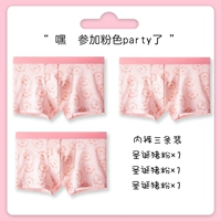 Три одежды (рождественская свинья+рождественская свиная порошок+порошок рождественской свиньи)