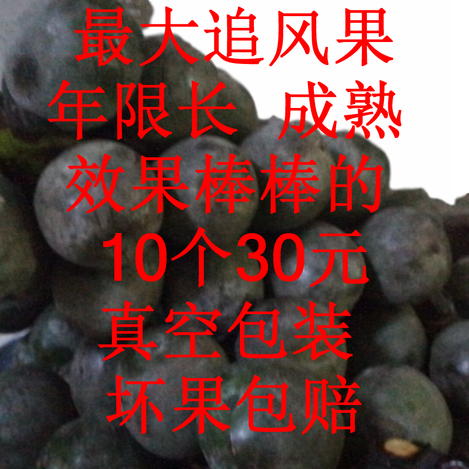 特大新鲜追风果特大果 10个一份650克左右大果 送鸡血藤红花