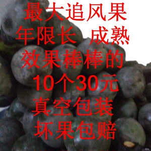 特大新鲜追风果特大果 10个一份650克左右大果 下单就送多种赠品