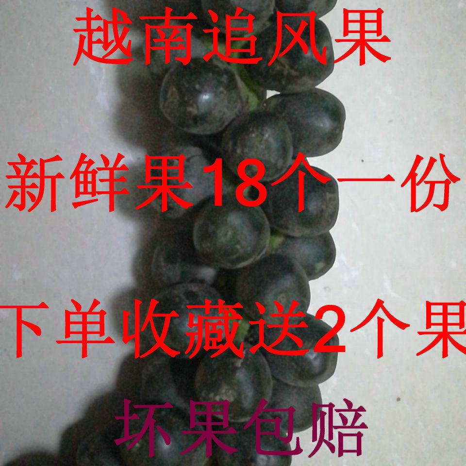 新鲜正宗越南追风果刺虎现摘18个一份送鸡血藤红花泡酒外用