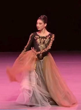 民族民间舞蹈服女沙漠胡杨新疆舞维吾族演出服藏族表演服艺考服
