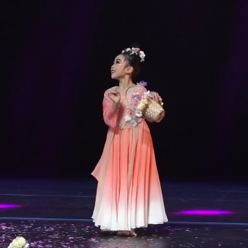 古典舞悦花朝同款独舞舞蹈服剧目服飘逸少儿表演服女演出艺考定制