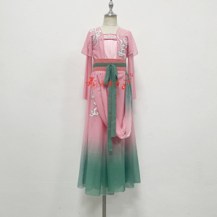 新款古典舞剧目服醉花溪同款舞蹈服独舞剧目服艺考服女演出服定制
