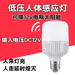 低压DC12V直流交流人体雷达感应灯泡楼梯间过道走廊太阳能板供电