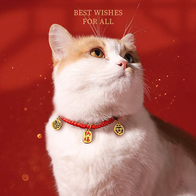 欢宠网猫项圈猫咪狗狗宠物铃铛项链脖颈圈新年春节幼小中型犬猫猫属于什么档次？