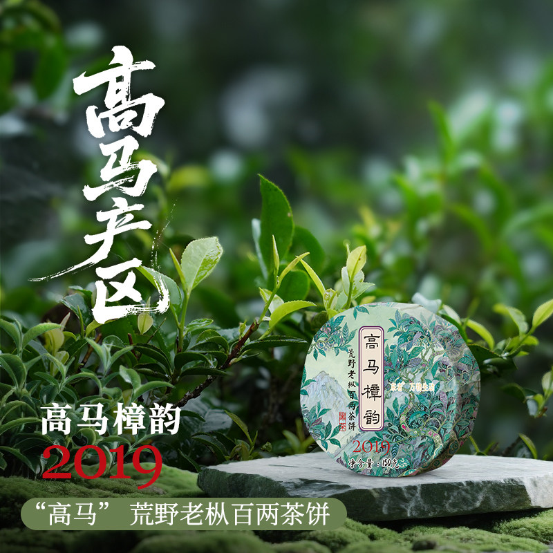 高马樟韵 2019荒野老枞百两茶饼 150克 东者安化黑茶616东者