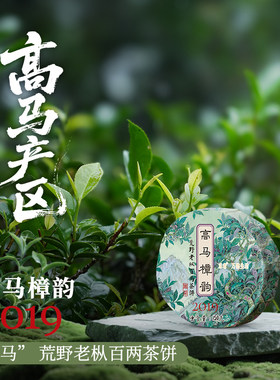 高马樟韵 2019荒野老枞百两茶饼 150克 东者安化黑茶616东者