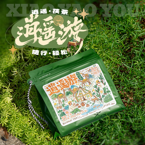 逍遥游金花茯茶袋泡茶安化黑茶白沙溪户外茶叶