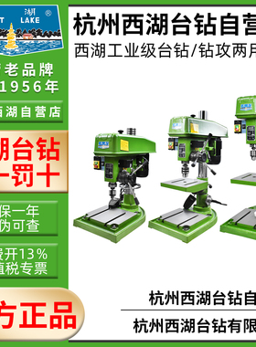 西湖钻攻一体机钻攻两用台钻ZS4112 ZS4120 JZS-25B 5032钻孔攻丝