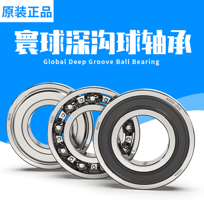 高速电机寰球HQZC轴承