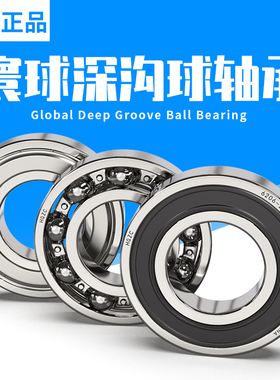 电机寰球HQZC轴承 6420 6422 6426 ZZ 6420N