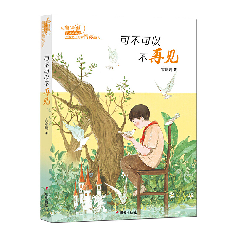 可不可以不再见 9787533288617 山东明天图书发行中心 HBN
