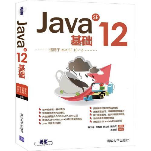 正版新书 Java SE 12基础 9787302551737 清华大学出版社 ZR