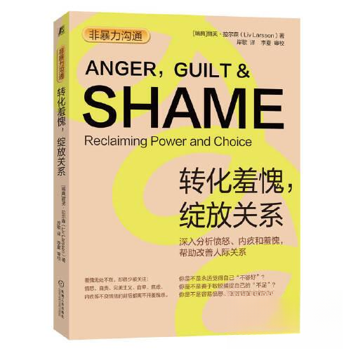 正版新书 非暴力沟通：转化羞愧，绽放关系 9787111713890 机械工业出版社 HYH