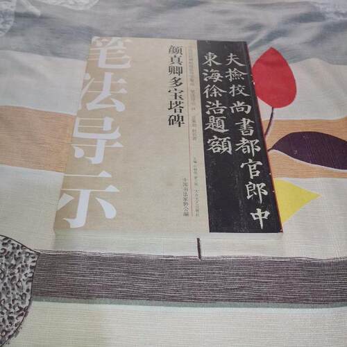 正版新书 颜真卿多宝塔碑-中国历代碑帖技法导学集成.笔法导示-24 9787517200307 大众文艺出版社 HSW