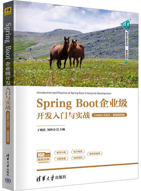 正版新书 Spring Boot企业级开发入门与实战 IntelliJ EA·微课视频版 9787302629665 清华大学出版社 XD