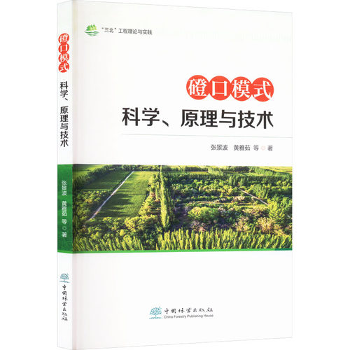正版新书 磴口模式科学、原理与技术 9787521927856 中国林业出版社 HHD