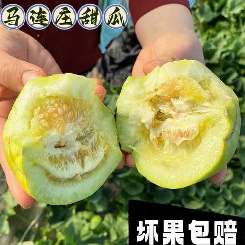 马连庄甜瓜脆甜小香瓜