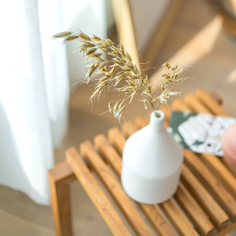 天然干花真花燕麦麦穗插花装饰