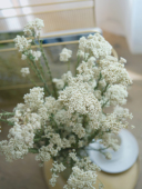 ins清新白色粉色自然干花花束装 摆客厅小米花 饰天然插花婚礼软装