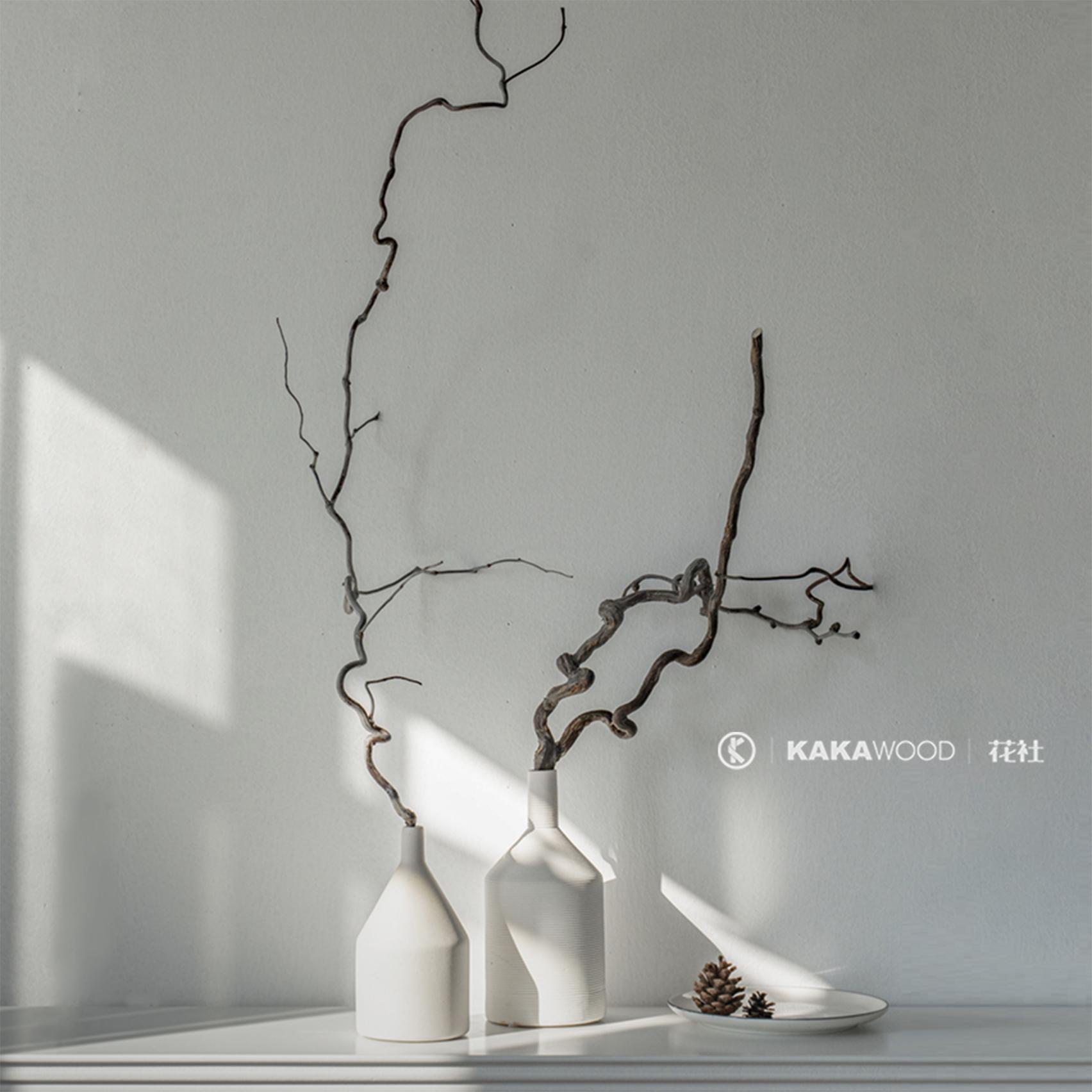 小支龙枣中式日式插花神器干枝