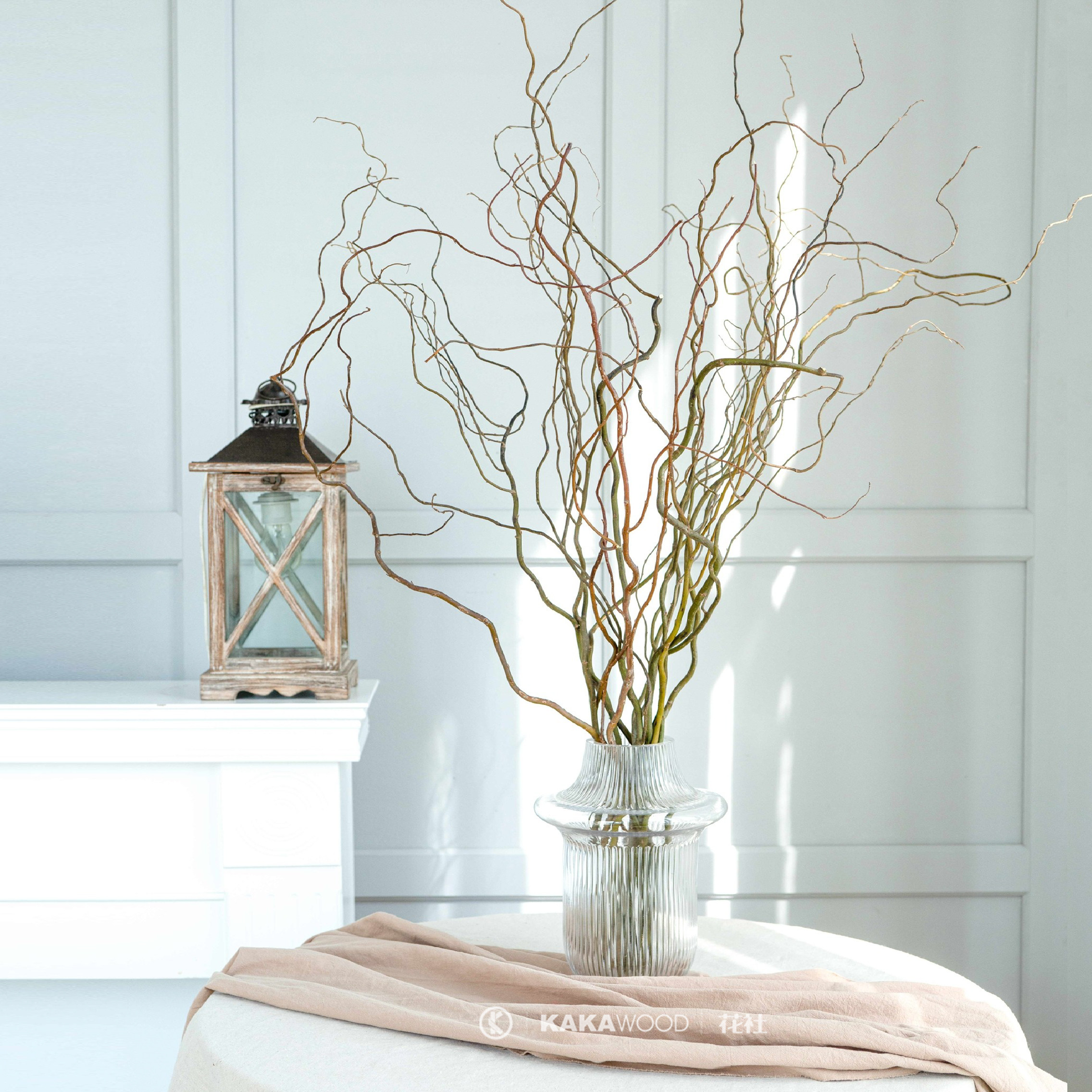 龙柳植物树枝天然卧室客厅装饰