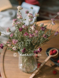 小牡丹天然干花植物插花橱窗装 饰 配饰花艺搭配小清新文艺装 饰软装