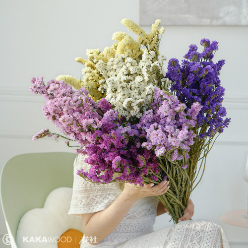 勿忘我干花真鲜花树枝艺术插花干枝diy客厅小清新装饰永生花束 - 封面