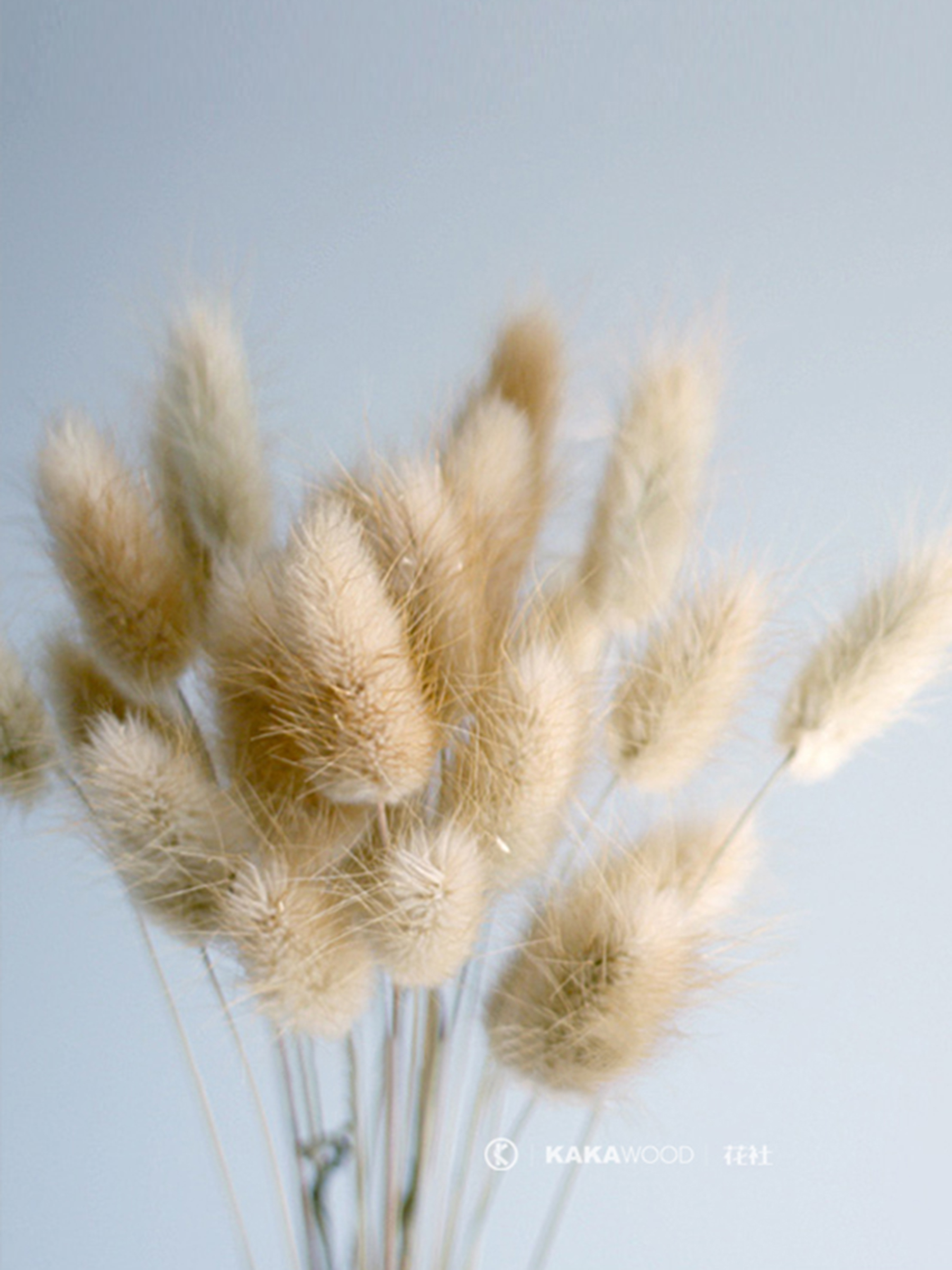 天然饰品花束彩色家居橱窗展示配