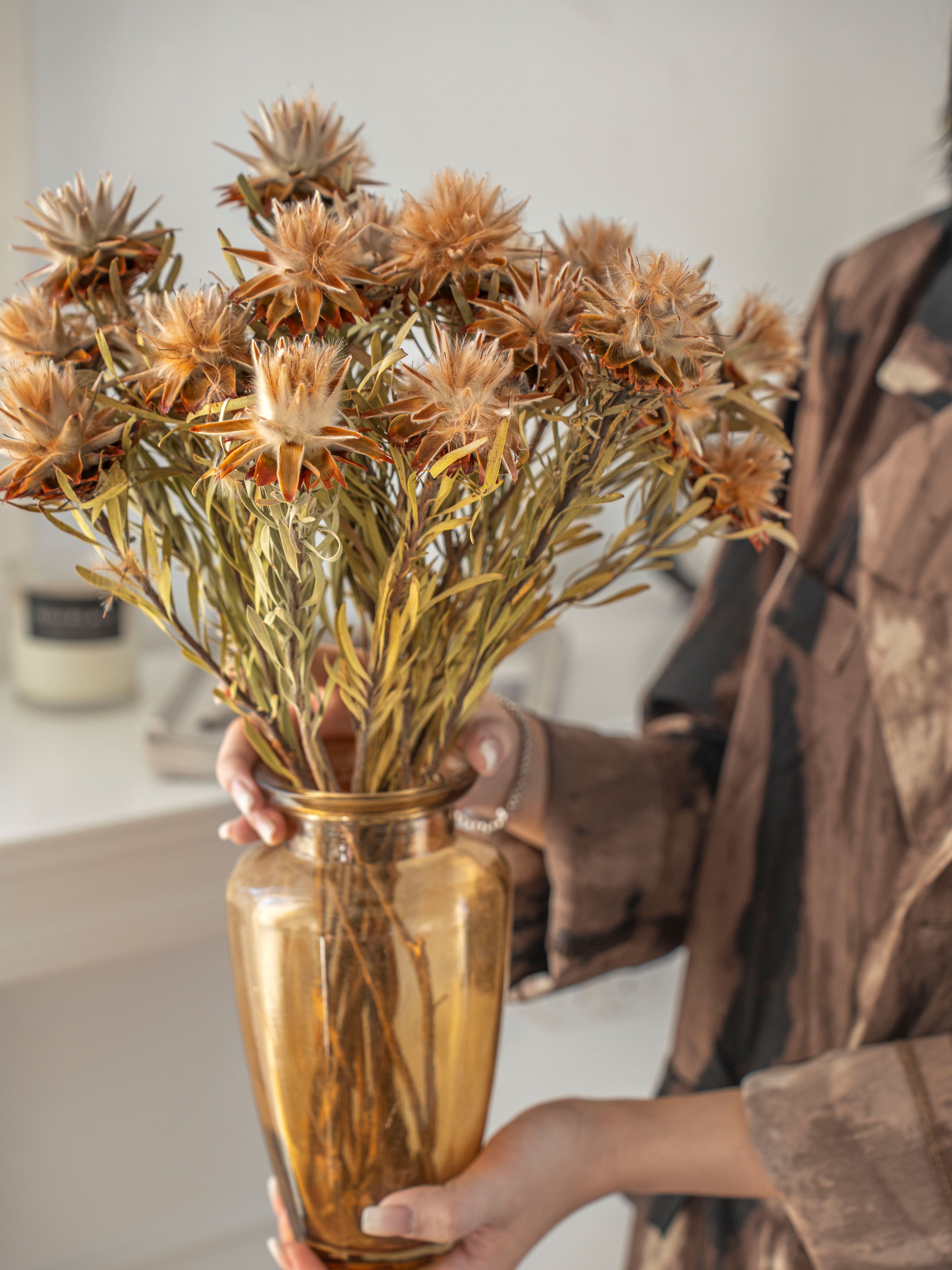 非洲花束植物kakawood