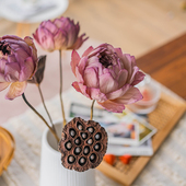 全天然荷花真莲花花束插花客厅家居禅意软装 桌面自然干花装 饰摆件