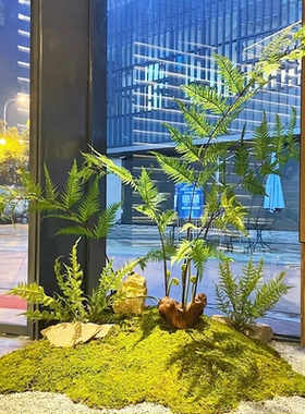 室内装饰摆件造景仿生植物苔藓