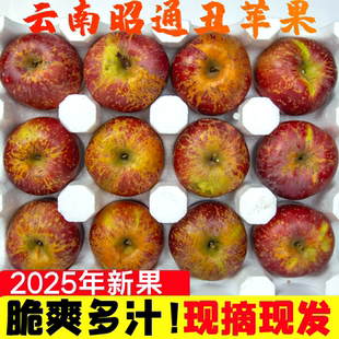 正宗云南昭通野生冰糖心丑苹果脆甜新鲜水果当季孕妇整箱装