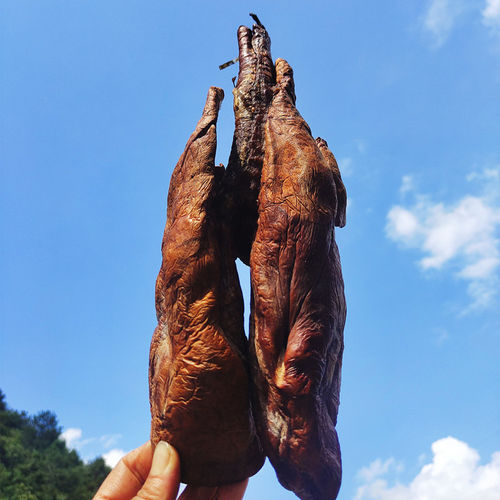 正宗柴火烟熏腊猪肺农家腊肉