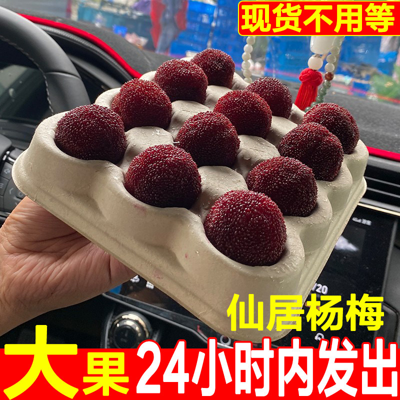 【贡品级大果2】正宗仙居东魁大杨梅新鲜水果当季礼盒浙江特产