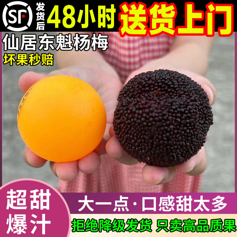 【特级大果】正宗仙居东魁大杨梅新鲜水果当季礼盒浙江特产现摘