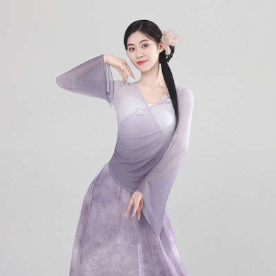 古典舞蹈服女飘逸身韵纱衣艺考