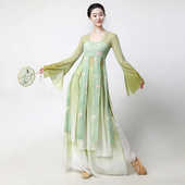 古典舞蹈服女中国舞蹈演出服装 纱衣古风 汉唐齐胸飘带身韵飘逸长款