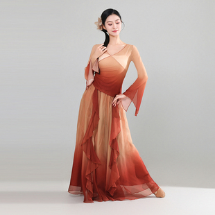 古典舞蹈服女飘逸纱衣中国舞练功服身韵仙气民族舞艺考演出服古风