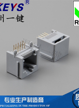 RJ45接口 5521-PCB-10P10C-带边-90度-灰色-RJ11电话插座 全塑