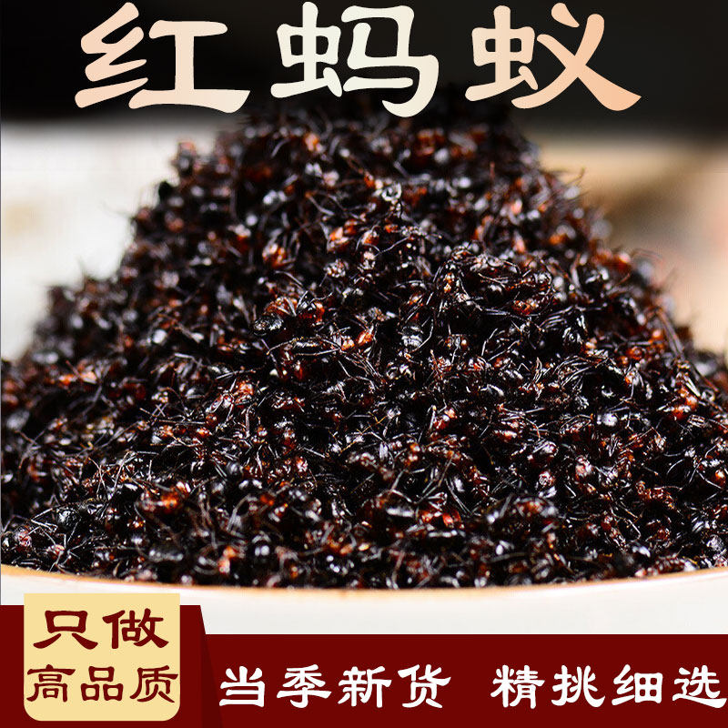 红蚂蚁 中药材小家蚁红蚂蚁新鲜干货干泡酒500克另售黑蚂蚁黄蚂蚁