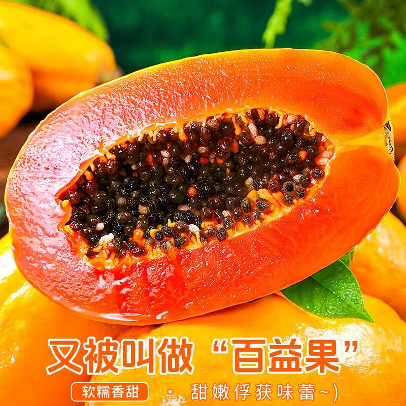 海南冰糖红心牛奶木瓜树上熟