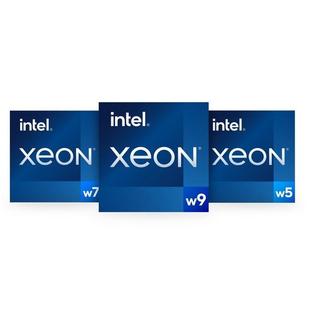 2555 2565X 2575X 英特尔2525 版 2545 2595X正式 至强CPU盒 2535X