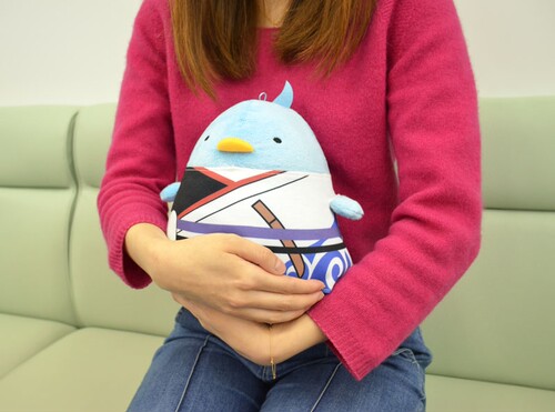 【【【【【【代购的商品和预定没有发售的不一样，价格要重新看过请知悉！ 具体到货时间请咨询我】】】】】】