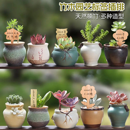 插牌多肉植物标签景观外贸竹制