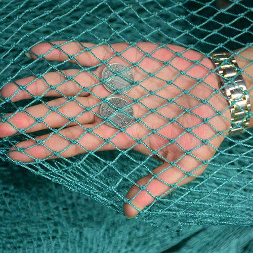 定制果园鱼塘防鸟网葡萄天网小孔养鸡围栏网尼龙家禽养殖网爬藤网