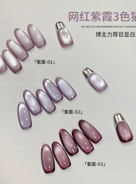 恩妮诗紫霞猫眼指甲油胶2026新款